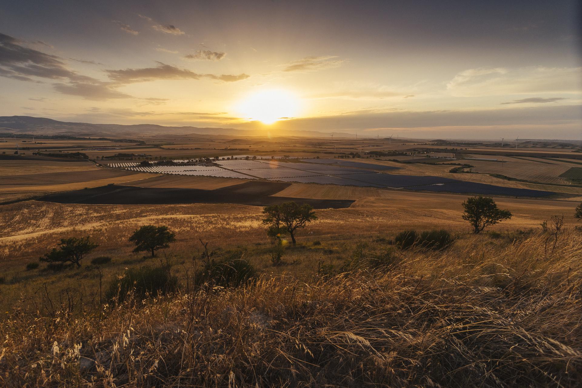 European Energy begins construction on Italy’s largest agrivoltaic project