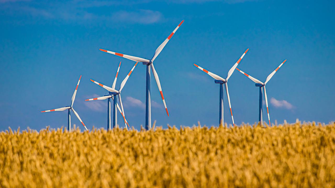 OMV Petrom’s first wind project reaches financial close as Romanian renewable pipeline moves into execution